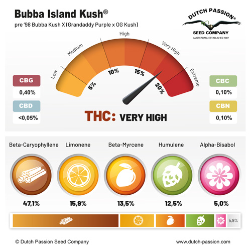 Bubba Island Kush Terpenes and cannabinoids